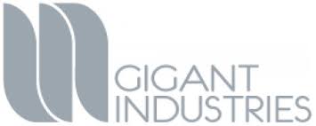 Gigant Industries : Machine combiné plasma et laser fibre